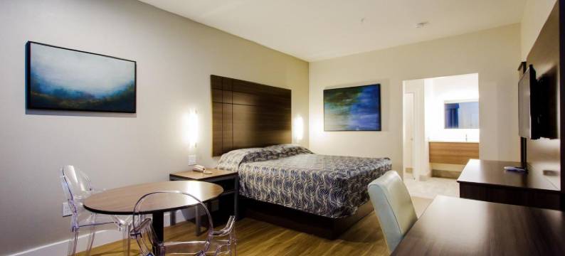 盖斯纳布鲁US-59宫殿旅馆(Palace Inn Blue US-59 & Gessner)图片