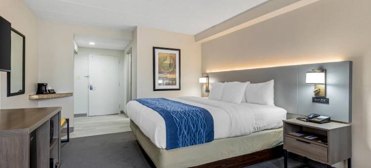 赫恩登 - 里斯顿舒适酒店(Comfort Inn Herndon-Reston)图片