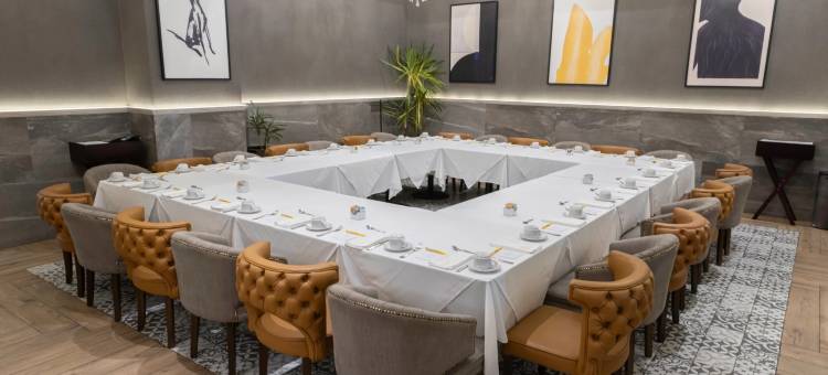 普埃布拉市中心皇家voco酒店(voco ROYALTY PUEBLA DOWNTOWN by IHG)图片