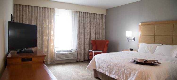 麦金尼希尔顿欢朋酒店(Hampton Inn & Suites McKinney)图片