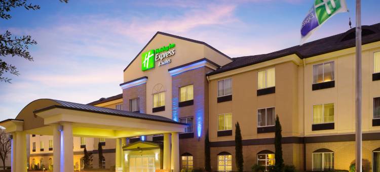 Holiday Inn Express & Suites DFW -葡萄(Holiday Inn Express & Suites DFW Airport - Grapevine)图片