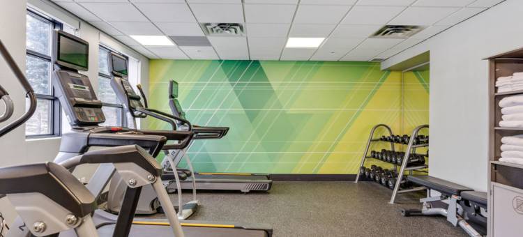 Holiday Inn & Suites 渥太华卡娜塔(Holiday Inn & Suites Ottawa Kanata)图片