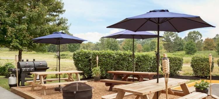 库尔佩珀温德姆麦客达套房酒店(Microtel Inn & Suites by Wyndham Culpeper)图片