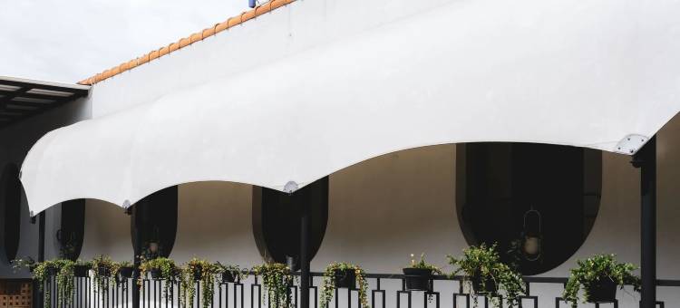 提贝拉莫里会泽(Tibera Morie Huize)图片