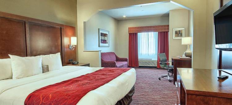 舒适套房酒店(Comfort Suites)图片