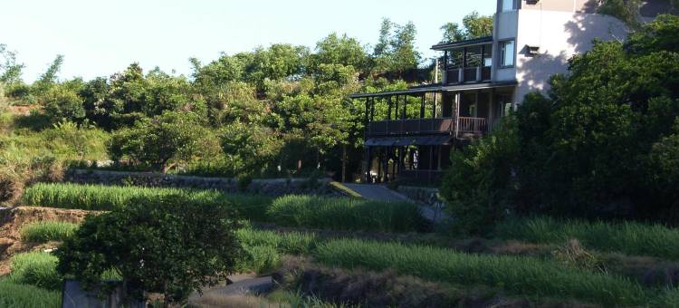 一亩田民宿图片