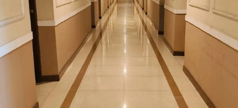 里雅迪皇宫酒店(Riyadi Palace Hotel)图片