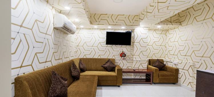 Treebo D Grand图片