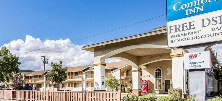 毕晓普舒适酒店(Comfort Inn Bishop)图片