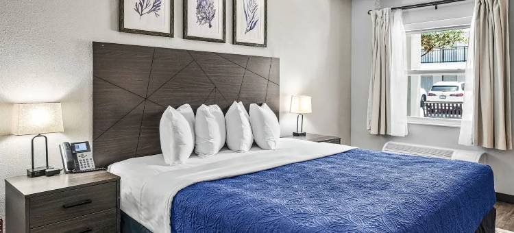 Baymont by Wyndham Ocala Suites(Ocala Suites)图片