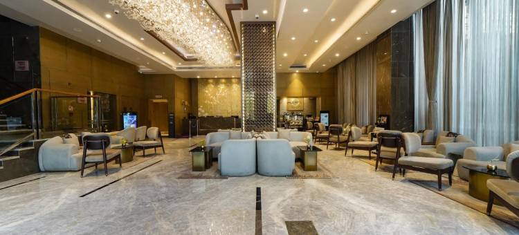 德里NCR-卡萨比塔丽笙蓝标酒店(Radisson Blu Towers Kaushambi Delhi NCR)图片