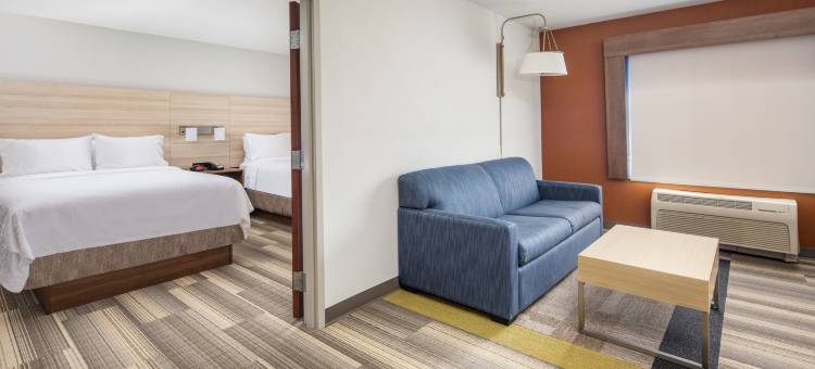 智选假日套房酒店安大略国际机场(Holiday Inn Express & Suites Ontario Airport)图片