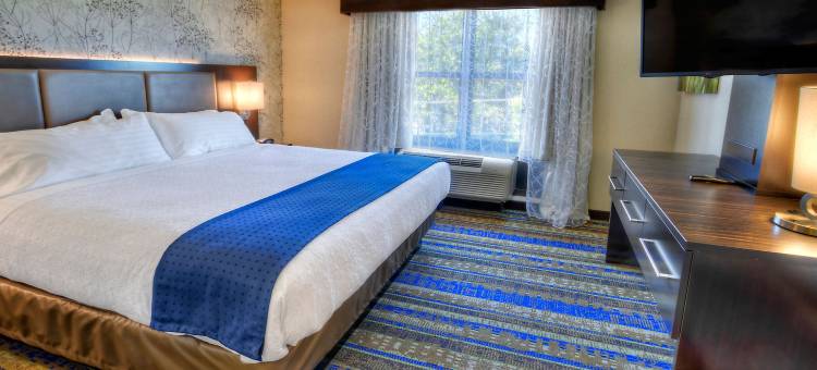 Holiday Inn & Suites 图珀洛(Holiday Inn & Suites Tupelo North)图片