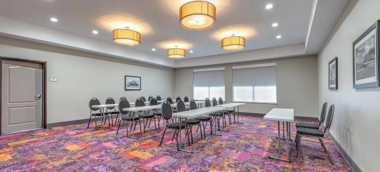 泰勒大学区拉昆塔温德姆套房酒店(La Quinta Inn & Suites by Wyndham Tyler - University Area)图片