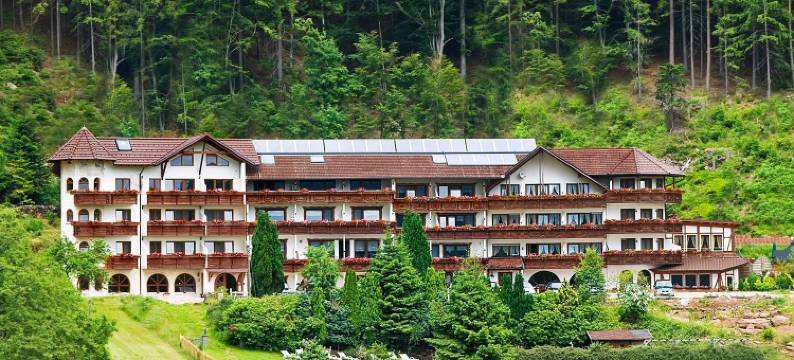 巴斯勒尔霍夫乡村酒店(Landhotel Basler Hof)图片