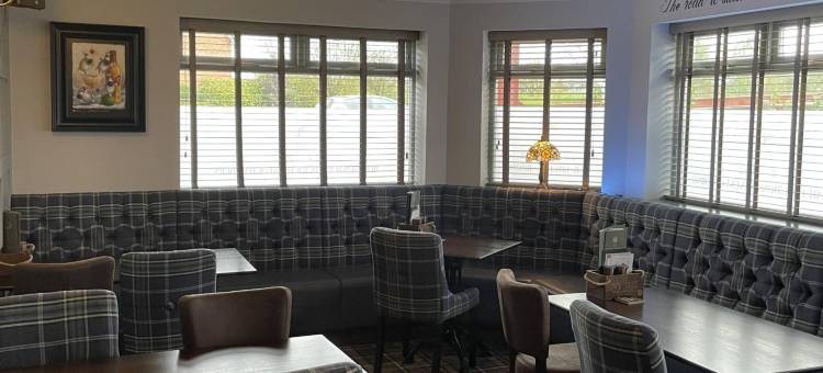 常春藤树(The Ivy Tree)图片