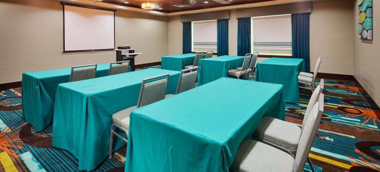 艾希顿贝斯特韦斯特精品套房酒店(Best Western Premier Ashton Suites-Willowbrook)图片