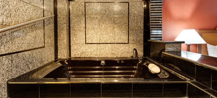 巴尔的摩西华美达酒店(Ramada by Wyndham Baltimore West)图片