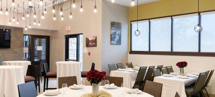 圣马科斯会展中心区域假日酒店(Holiday Inn San Marcos-Convention Ctr Area)图片