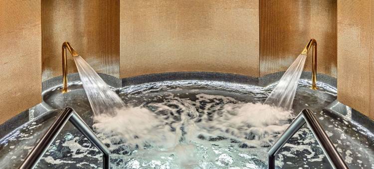 布拉格W酒店(W Prague)图片