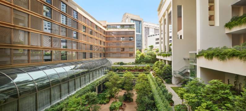 新加坡艾迪逊酒店(The Singapore EDITION)图片