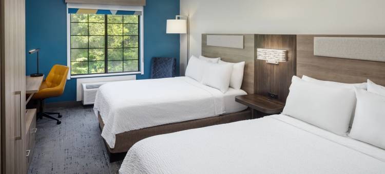 智选假日套房酒店雅宝(Holiday Inn Express & Suites ALBEMARLE by IHG)图片
