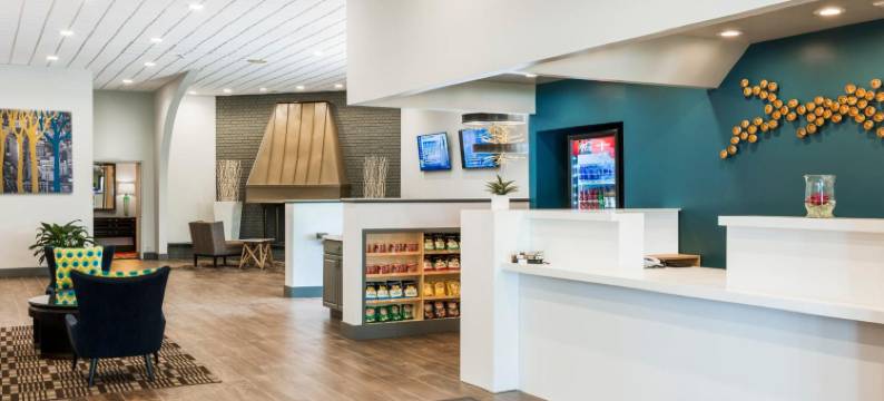 肯尼尔沃思酒店 - 机场西(The Kenilworth Hotel - Airport West)图片