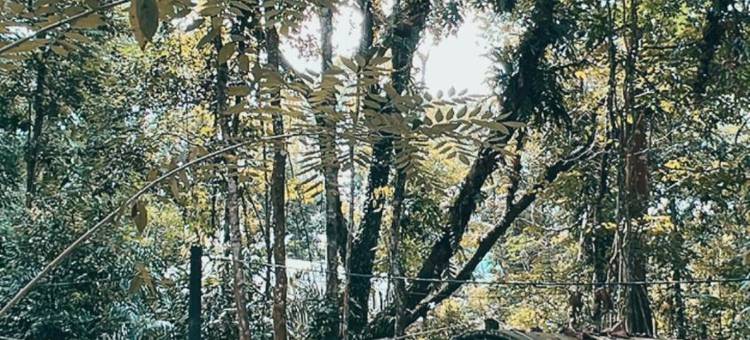 时间胶囊酒店(Time Capsule Retreat, Sungai Lembing)图片