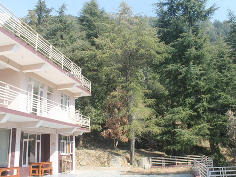 荣格莱特生态住宿&体验酒店