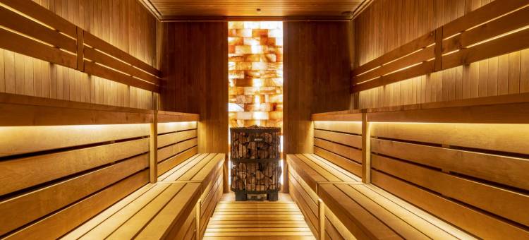 维泰克斯大酒店(Vertex Hotel)图片