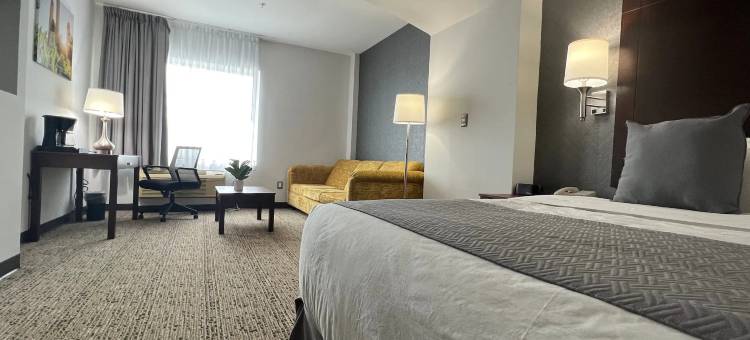 拉昆塔-温德姆雷诺萨酒店(La Quinta by Wyndham Reynosa)图片