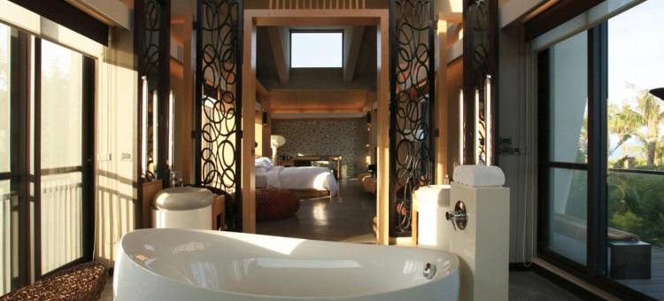 屏东白砂15图片