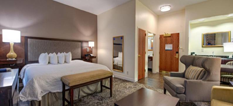 希尔顿欢朋套房酒店-洛克维尔中心NY酒店(Hampton Inn & Suites Rockville Centre)图片