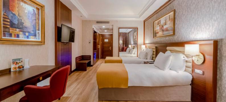 名门豪华酒店(Wellborn Luxury Hotel)图片