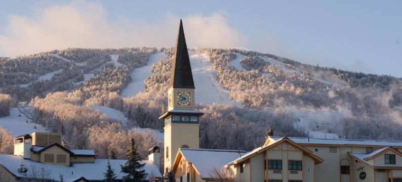 黑熊旅馆 - 施特拉顿山度假村(The Black Bear Lodge at Stratton Mountain Resort)图片