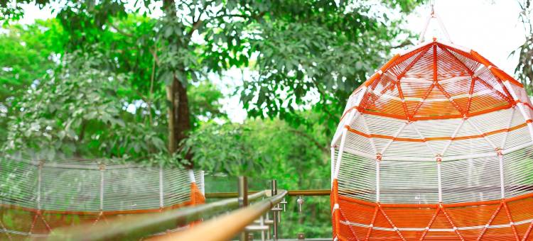 艾尔曼格鲁弗酒店-傲途格精选(El Mangroove, Autograph Collection)图片