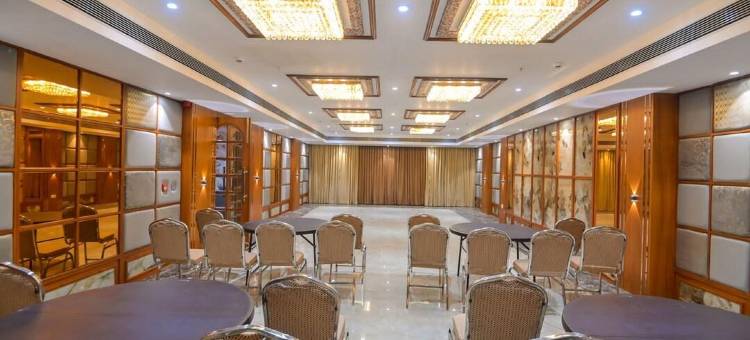 PRATAP皇宫酒店(Hotel Pratap Palace)图片