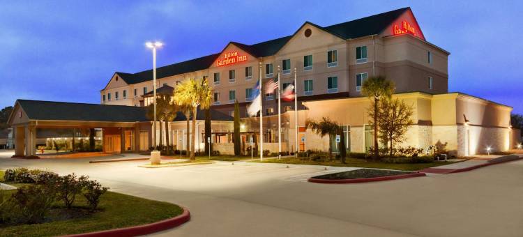 休斯顿克莱尔雷克NASA希尔顿花园酒店(Hilton Garden Inn Houston/Clear Lake NASA)图片