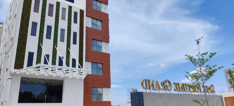 塔德帕利斯里财富大酒店(Sree Fortune Grand, Tadepalli)图片