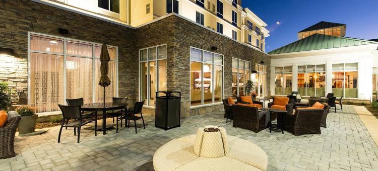 夏洛特机场希尔顿花园酒店(Hilton Garden Inn Charlotte Airport)图片