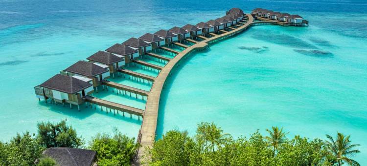 马尔代夫都喜D2费杜岛(Dusitd2 Feydhoo Maldives - All Inclusive Resort with Free Transfers)图片