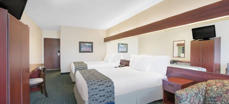 汉堡温德姆麦客达套房酒店(Microtel Inn & Suites by Wyndham Hamburg)图片