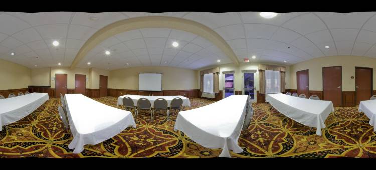 智选假日套房酒店韦斯拉科(Holiday Inn Express & Suites Weslaco)图片