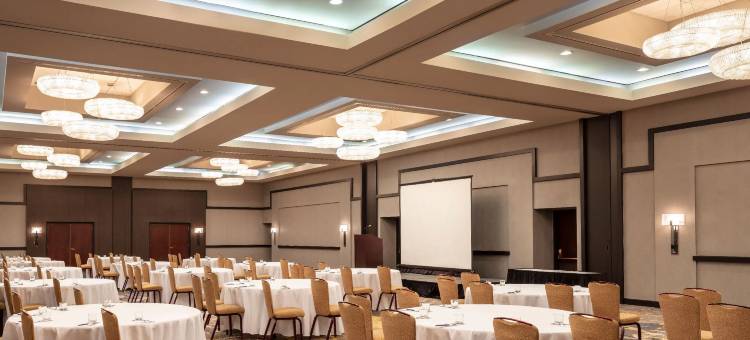 莱尔凯悦酒店-近内珀维尔(Hyatt Regency Lisle Near Naperville)图片