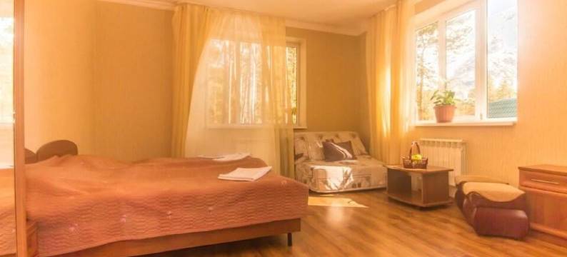 索斯诺维波尔酒店(Sosnovyij Bor Hotel)图片