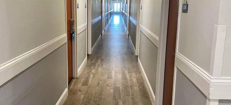 莱克兰戴斯套房酒店(Days Inn & Suites by Wyndham Lakeland)图片