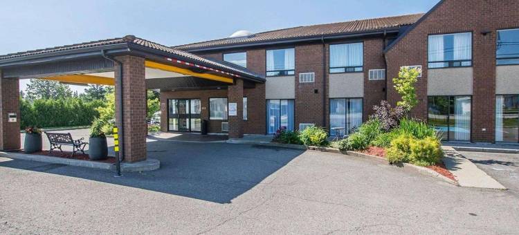 舒适酒店(Comfort Inn)图片