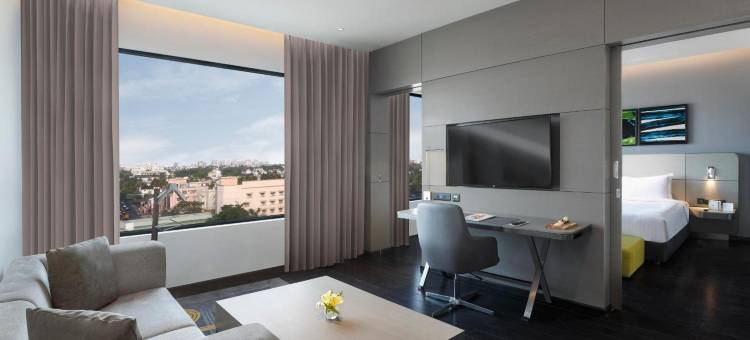 金奈沙米耶尔路诺富特酒店(Novotel Chennai Chamiers Road)图片