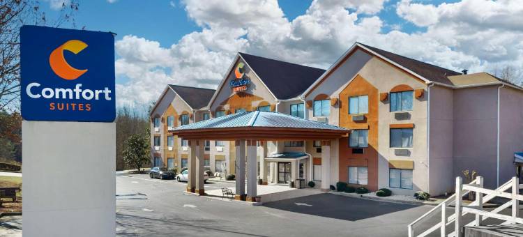 北区医院格威纳特舒适套房酒店(Comfort Suites Northside Hospital Gwinnett)图片