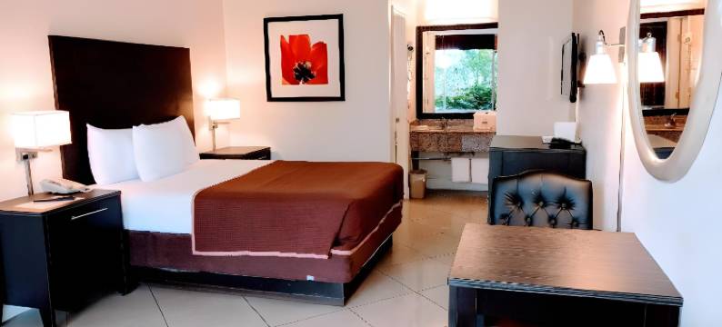 罗德岱堡机场红地毯酒店(Red Carpet Inn Airport Fort Lauderdale)图片